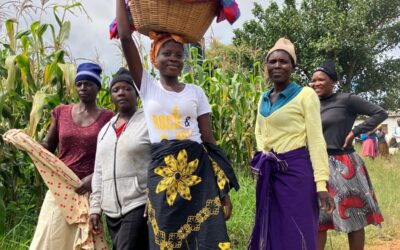 Onze reis naar Zimbabwe –Van Kip tot Klaslokaal – Projecten die Levens Veranderen